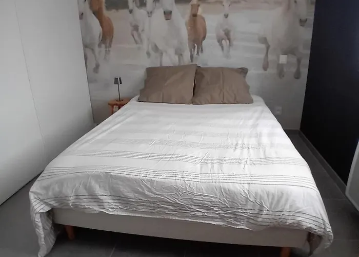 Maison Avec Piscine Privée, 4 Ch, 8 Pers, Sud Salindres