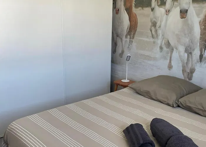 Maison Avec Piscine Privée, 4 Ch, 8 Pers, Sud *
